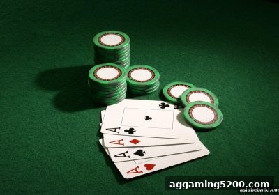 骰宝新手全攻略：从入门到提现，亚洲博彩论坛助你避开陷阱