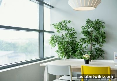 胜率与赔率深度解析：PG老虎机与桌游的概率博弈——亚洲博彩论坛专业视角