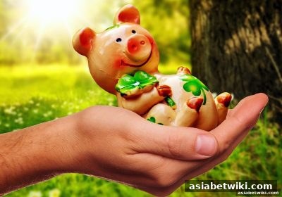 亚洲博彩论坛深度解析：利澳六合彩玩法与投注策略全攻略