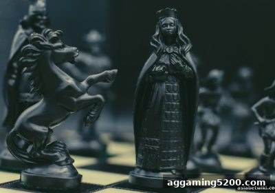 亚洲博彩论坛全面解析：扑克比赛入门指南与实战技巧