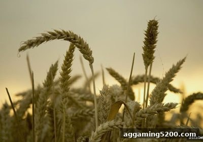 【亚洲博彩论坛】新会员首充福利与注册奖励全攻略
