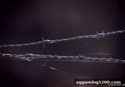 亚洲博彩论坛：第三方维权的全面攻略与实战技巧，天博体育用户必看